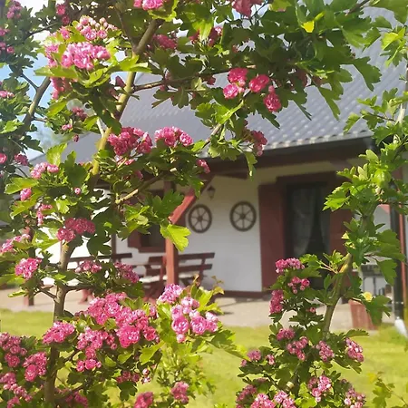 4 Pory Kaszub - Z Bania I Sauna Lodge Skoszewo