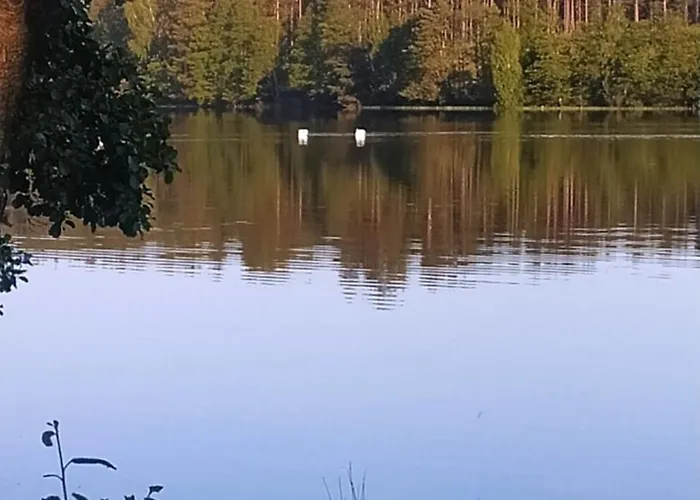 4 Pory Kaszub - Z Bania I Sauna بيت خشبي Skoszewo