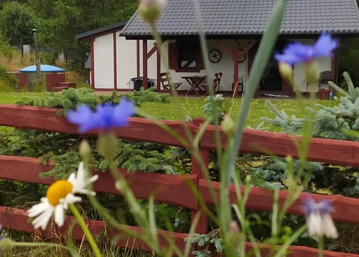 4 Pory Kaszub - Z Bania I Sauna