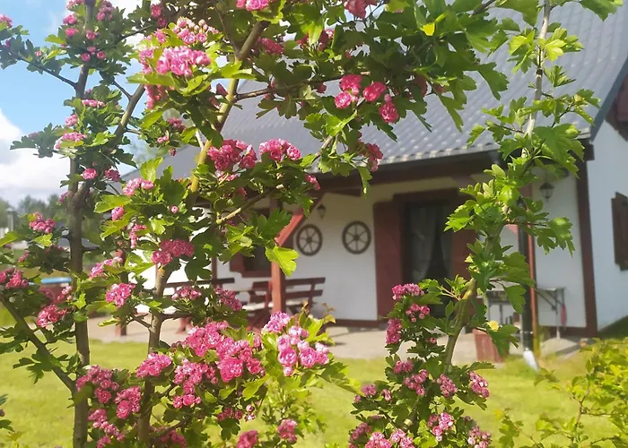 4 Pory Kaszub - Z Bania I Sauna بيت خشبي Skoszewo